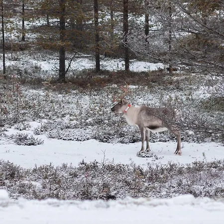 Ahjotar Σπίτι διακοπών *